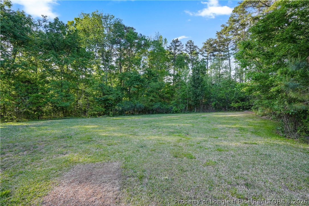 280 Hemp St Extension Robbins, NC 27325 - Photo 24 of 29 a view of outdoor space and yard