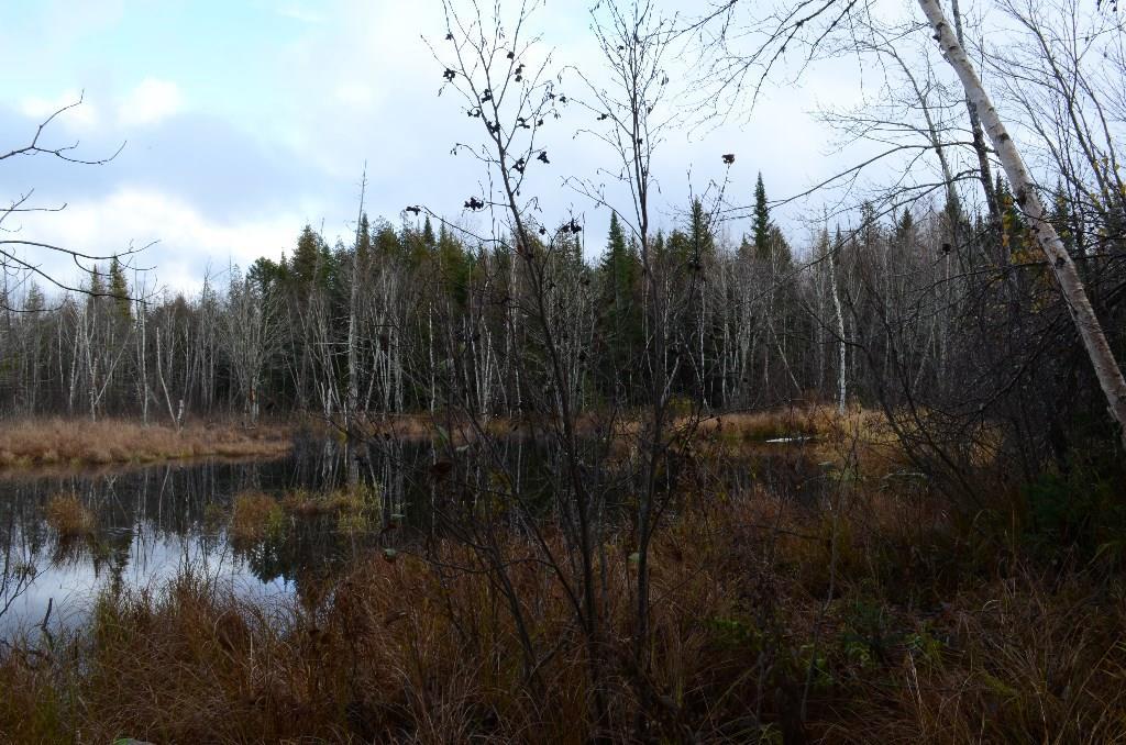 On Skagrock Road Wytopitlock, ME 04497 - Photo 13 of 22 Maine Land for Sale in Haynesville,...