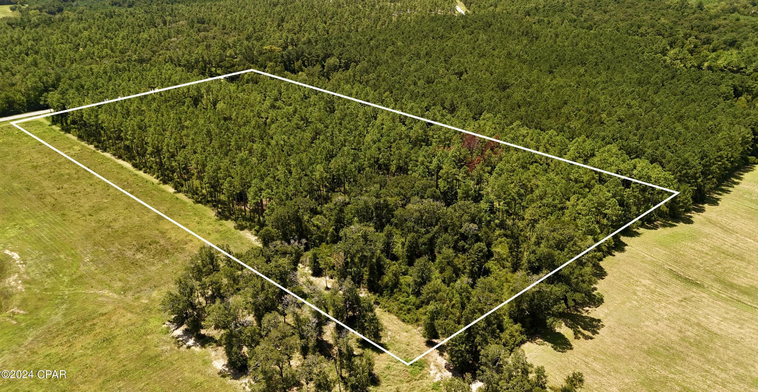 0 Clayton Road Chipley, FL 32428 - Photo 1 of 16