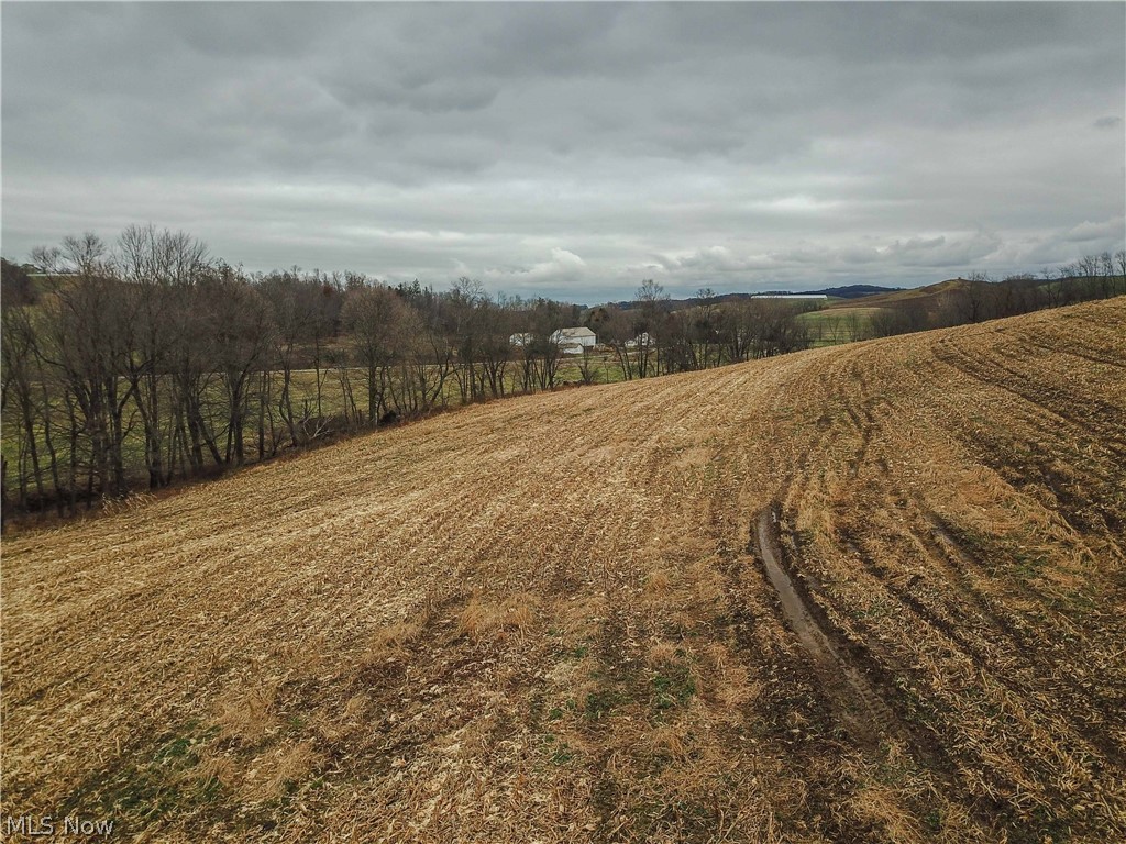 Ragersville Road Southwest Baltic, OH 43804 - Photo 25 of 27 Gallery Image 25