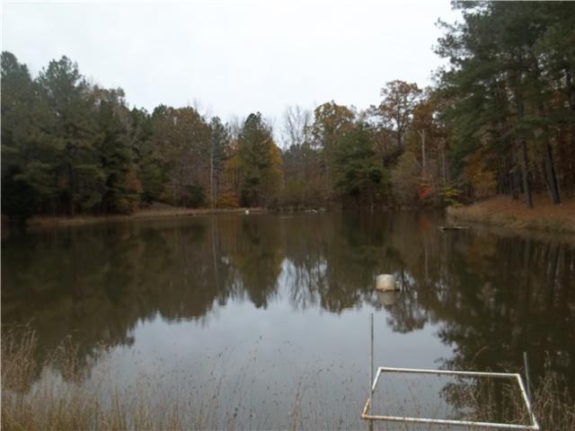 7100 Highway 100 Decaturville, TN 38329 - Photo 2 of 20 Gallery Image 2