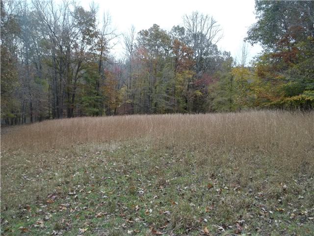 7100 Highway 100 Decaturville, TN 38329 - Photo 3 of 20 Gallery Image 3
