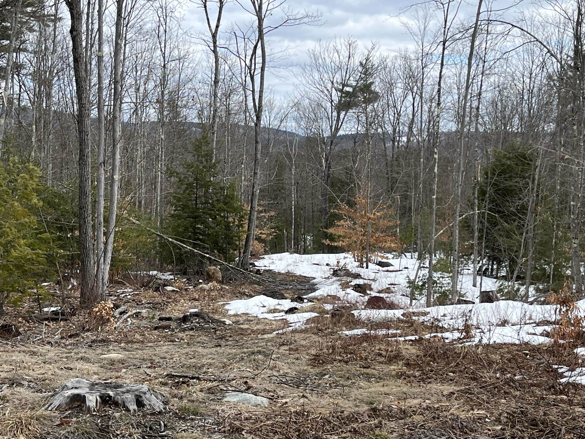 280 Bennington Road Hancock, NH 03449 - Photo 11 of 14