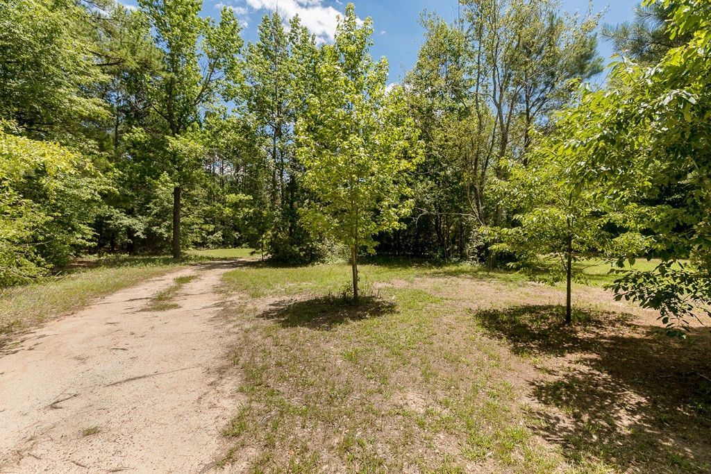 1035 Douglas Road Harlem, GA 30814 - Photo 60 of 62