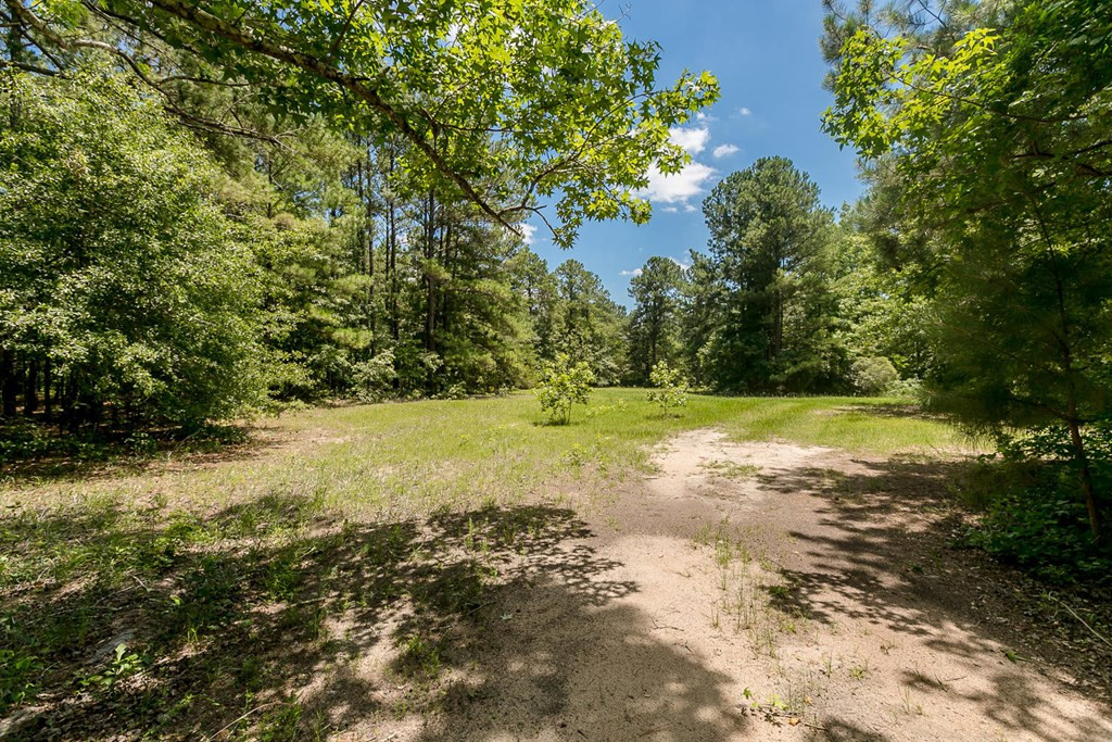 1035 Douglas Road Harlem, GA 30814 - Photo 61 of 62