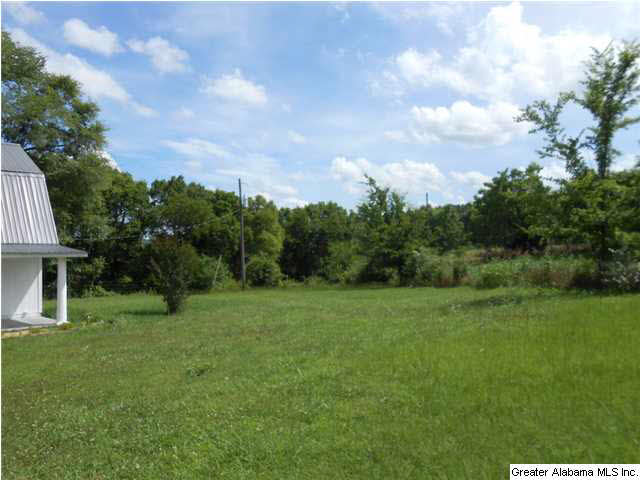 33118 Highway 79 Cleveland, AL 35049 - Photo 9 of 14