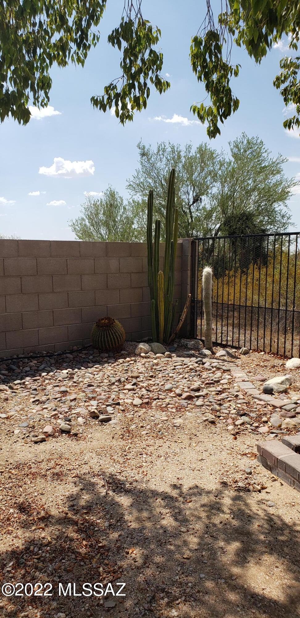 5638 West Red Racer Drive Tucson, AZ 85742 - Photo 14 of 19