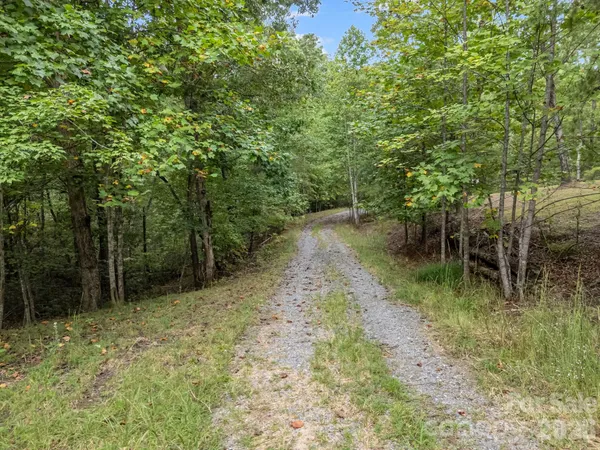 a view of a big yard with lots of green space