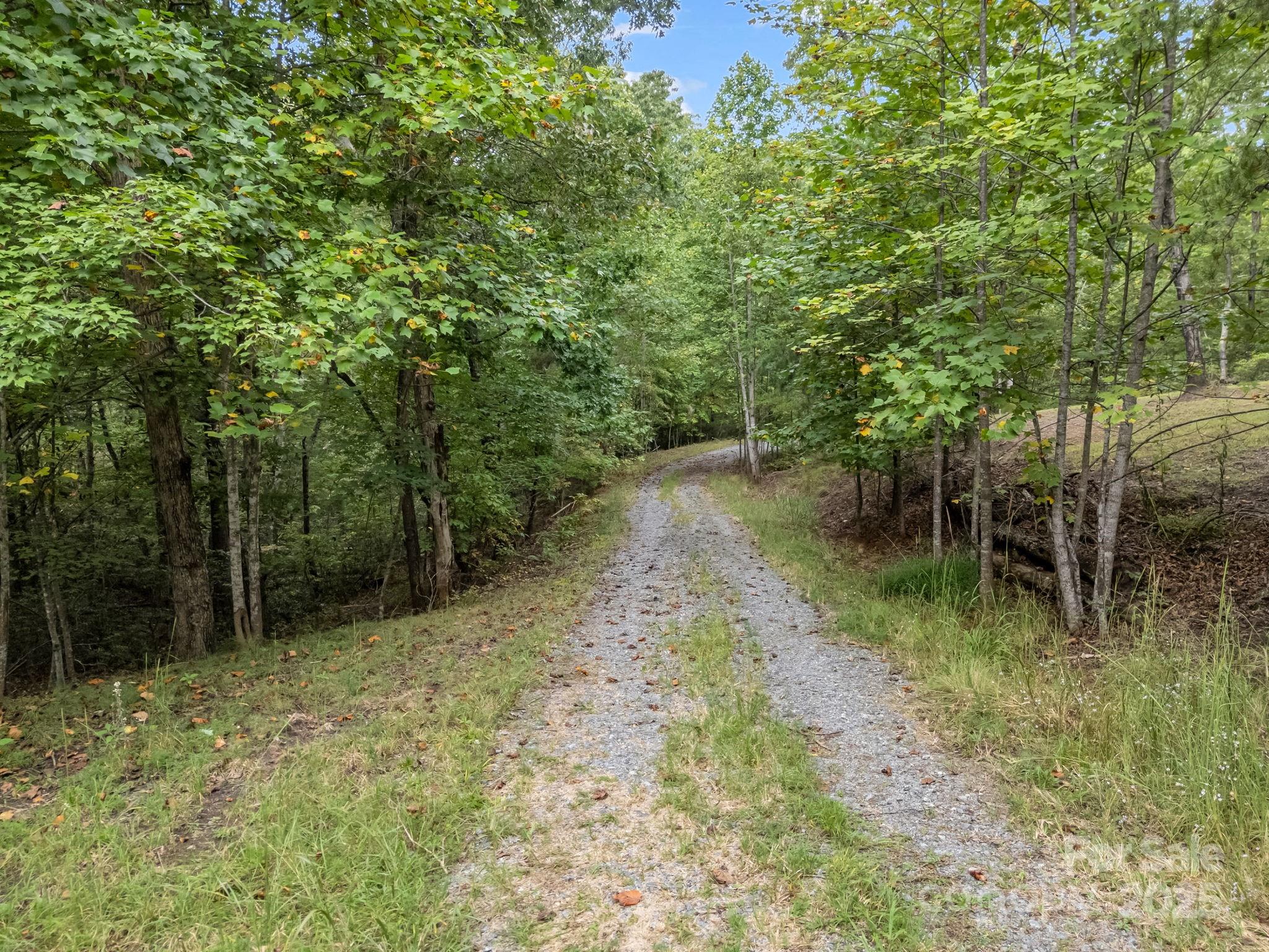 Tbd North Highland Road, Unit 6 Mill Spring, NC 28756 - Photo 11 of 37 a view of a forest with trees in the background