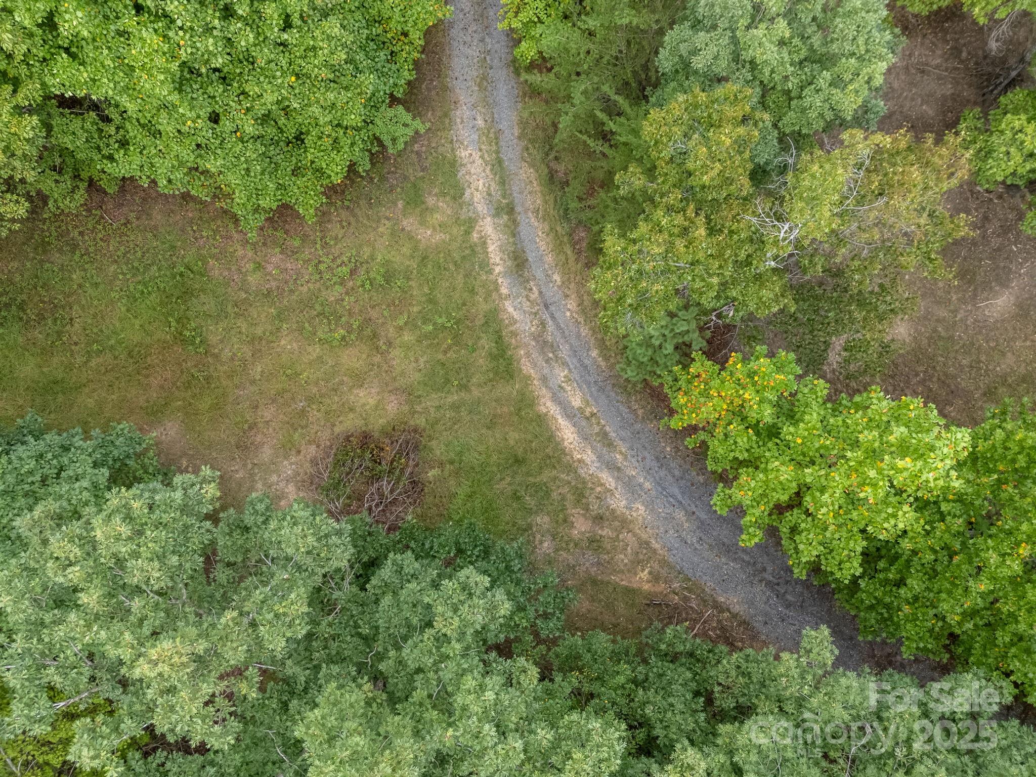 Tbd North Highland Road, Unit 6 Mill Spring, NC 28756 - Photo 12 of 37 a view of a yard with plants and large trees