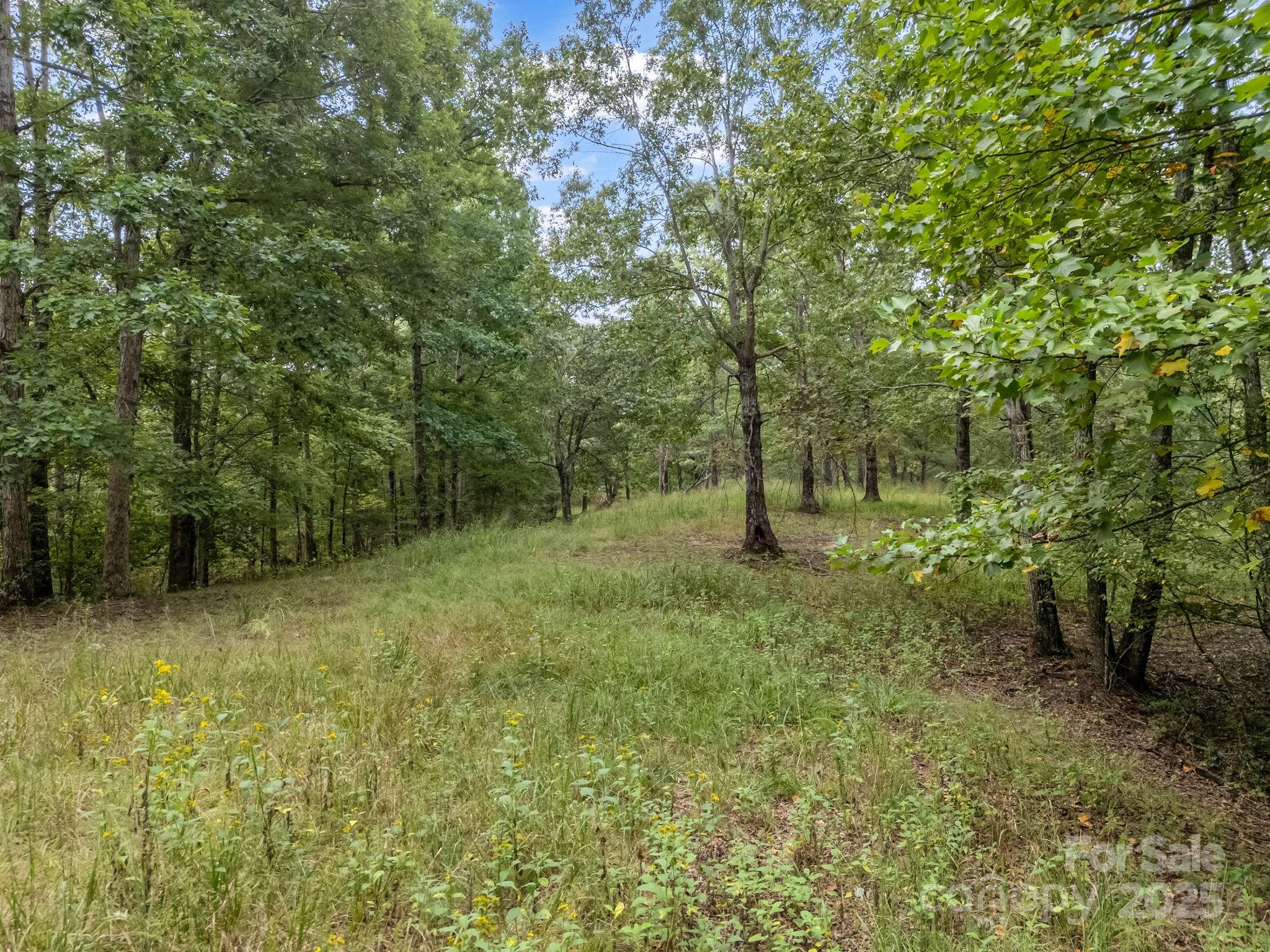 Tbd North Highland Road, Unit 6 Mill Spring, NC 28756 - Photo 13 of 37 a view of outdoor space and green space