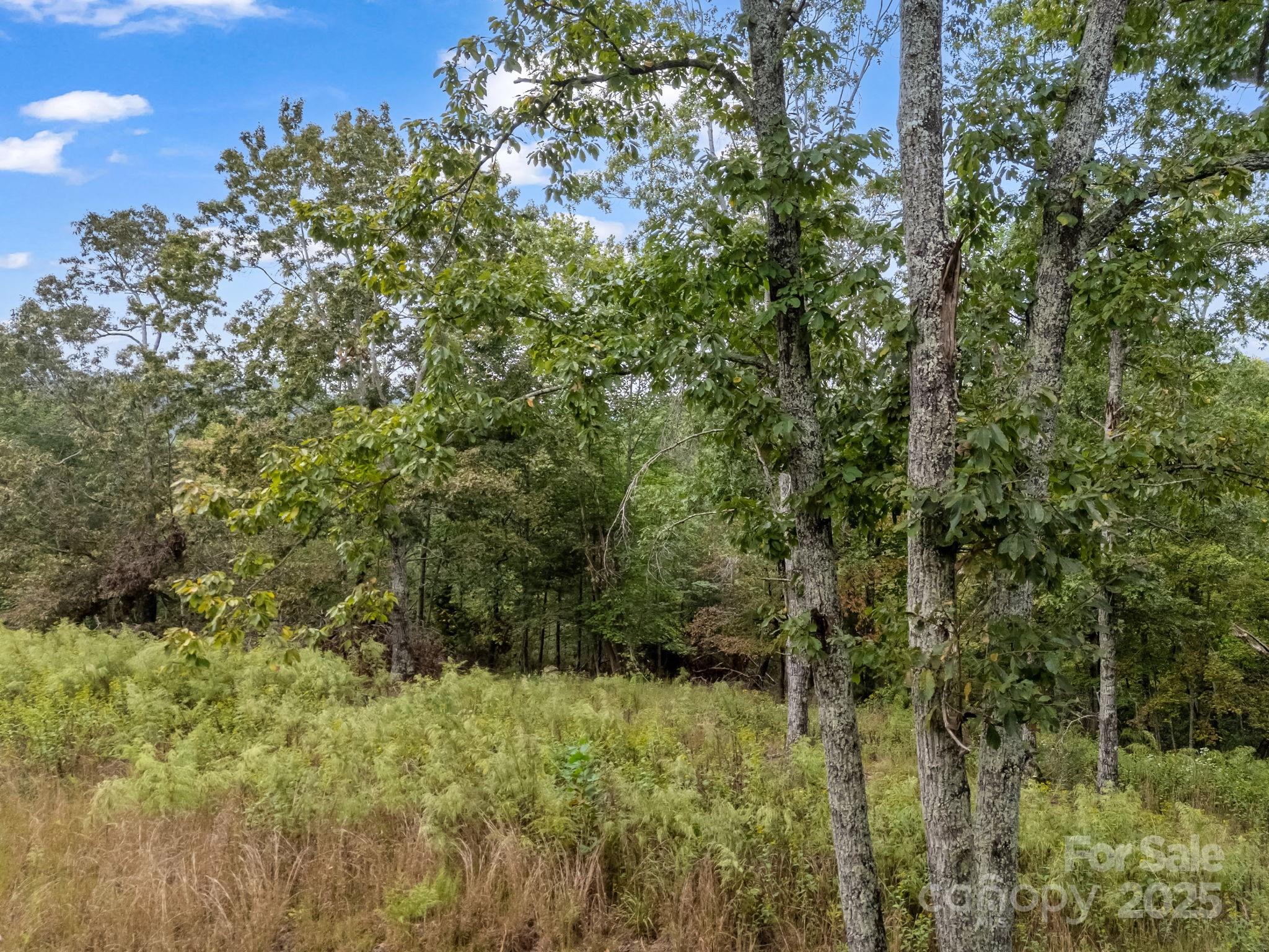 Tbd North Highland Road, Unit 6 Mill Spring, NC 28756 - Photo 14 of 37