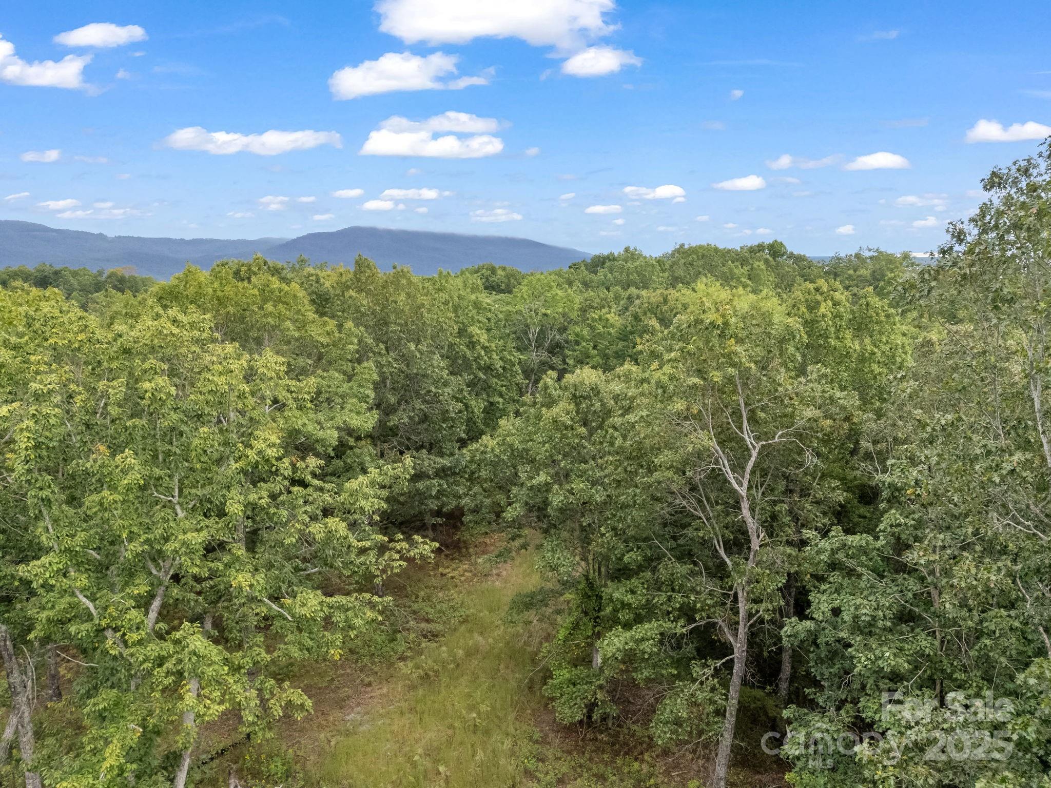 Tbd North Highland Road, Unit 6 Mill Spring, NC 28756 - Photo 15 of 37 a view of a big yard with lots of bushes