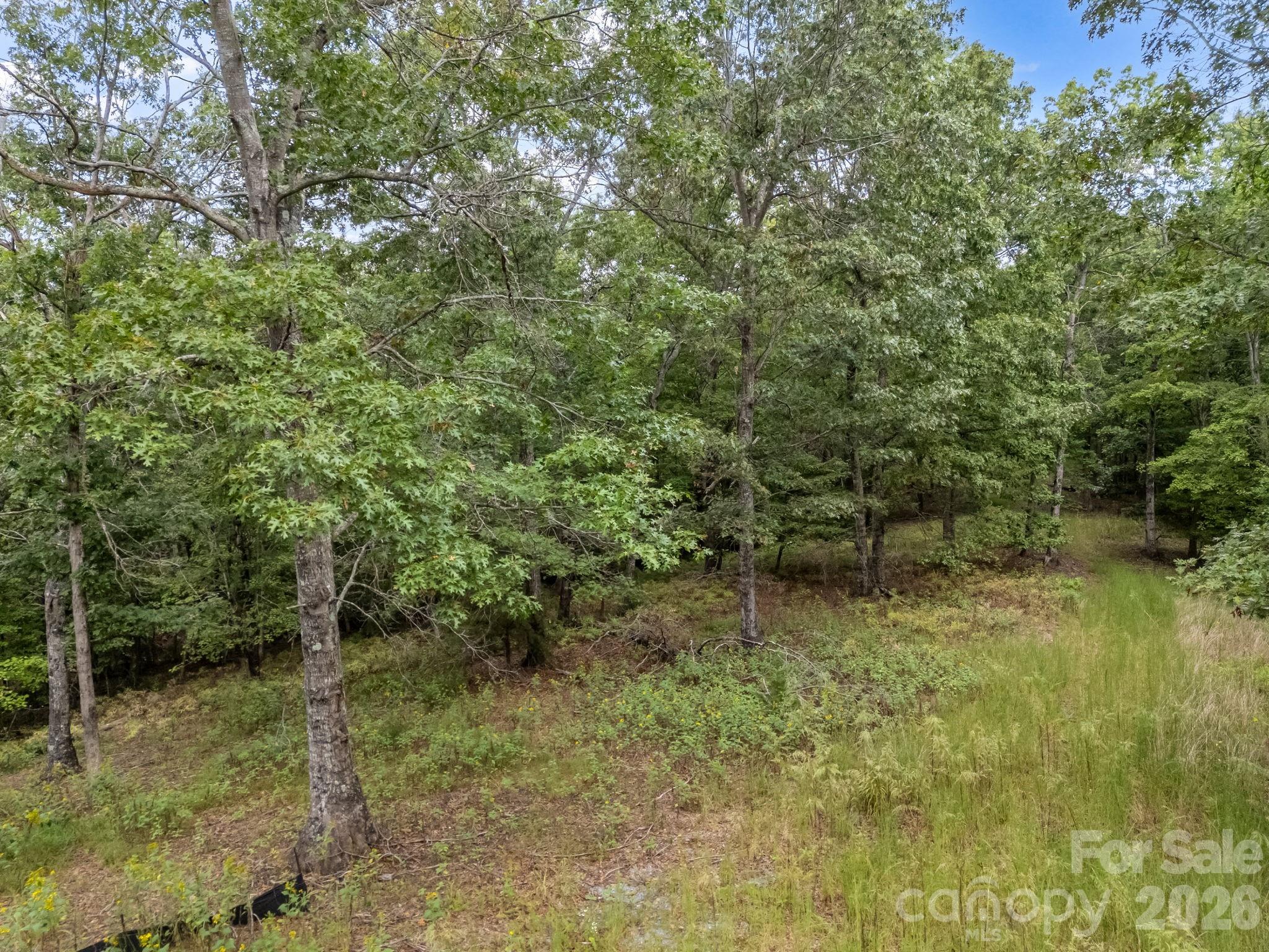 Tbd North Highland Road, Unit 6 Mill Spring, NC 28756 - Photo 16 of 37 a backyard of a house with lots of green space