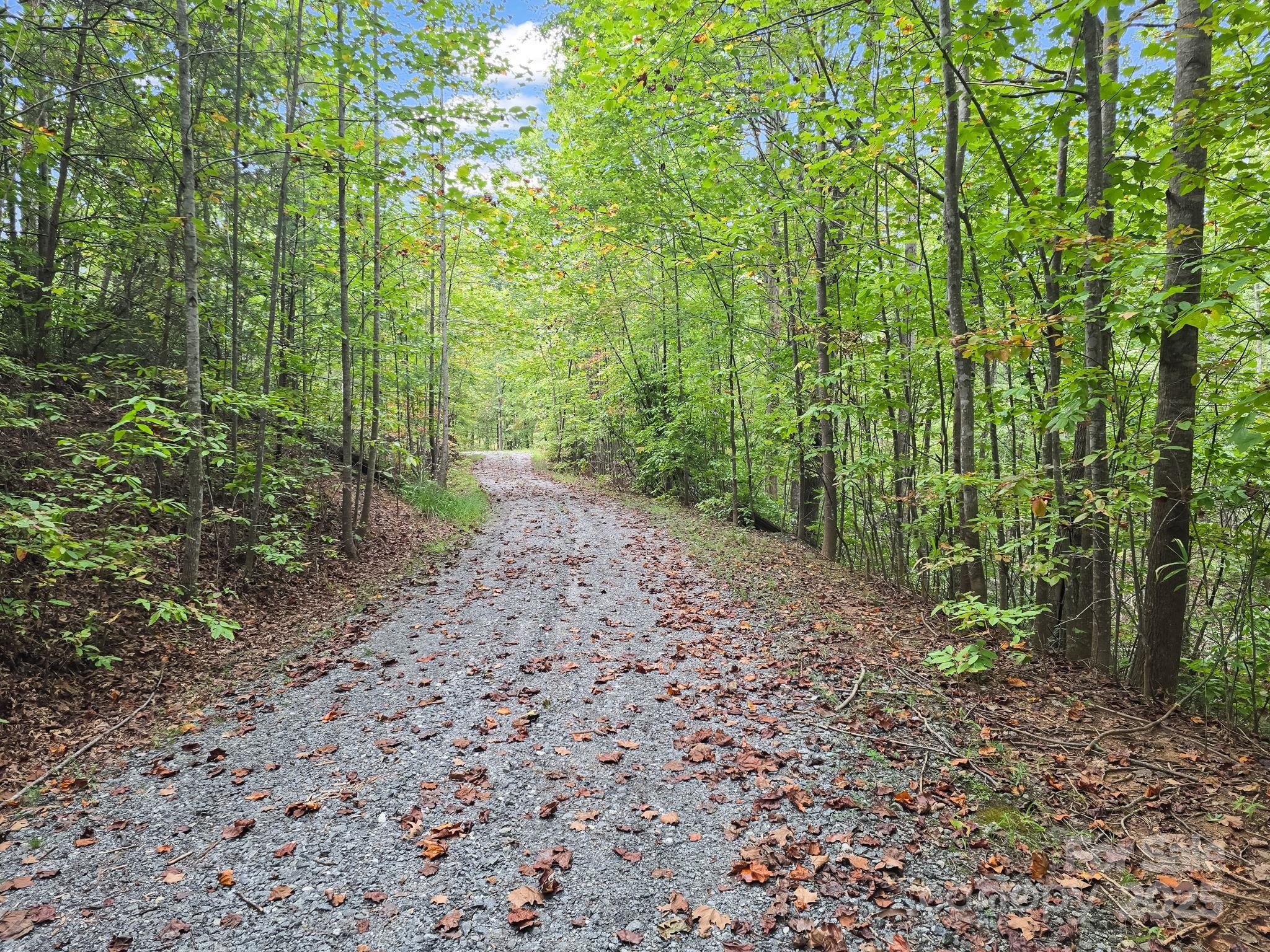 Tbd North Highland Road, Unit 6 Mill Spring, NC 28756 - Photo 19 of 37 a big yard with lots of green space and house in the back