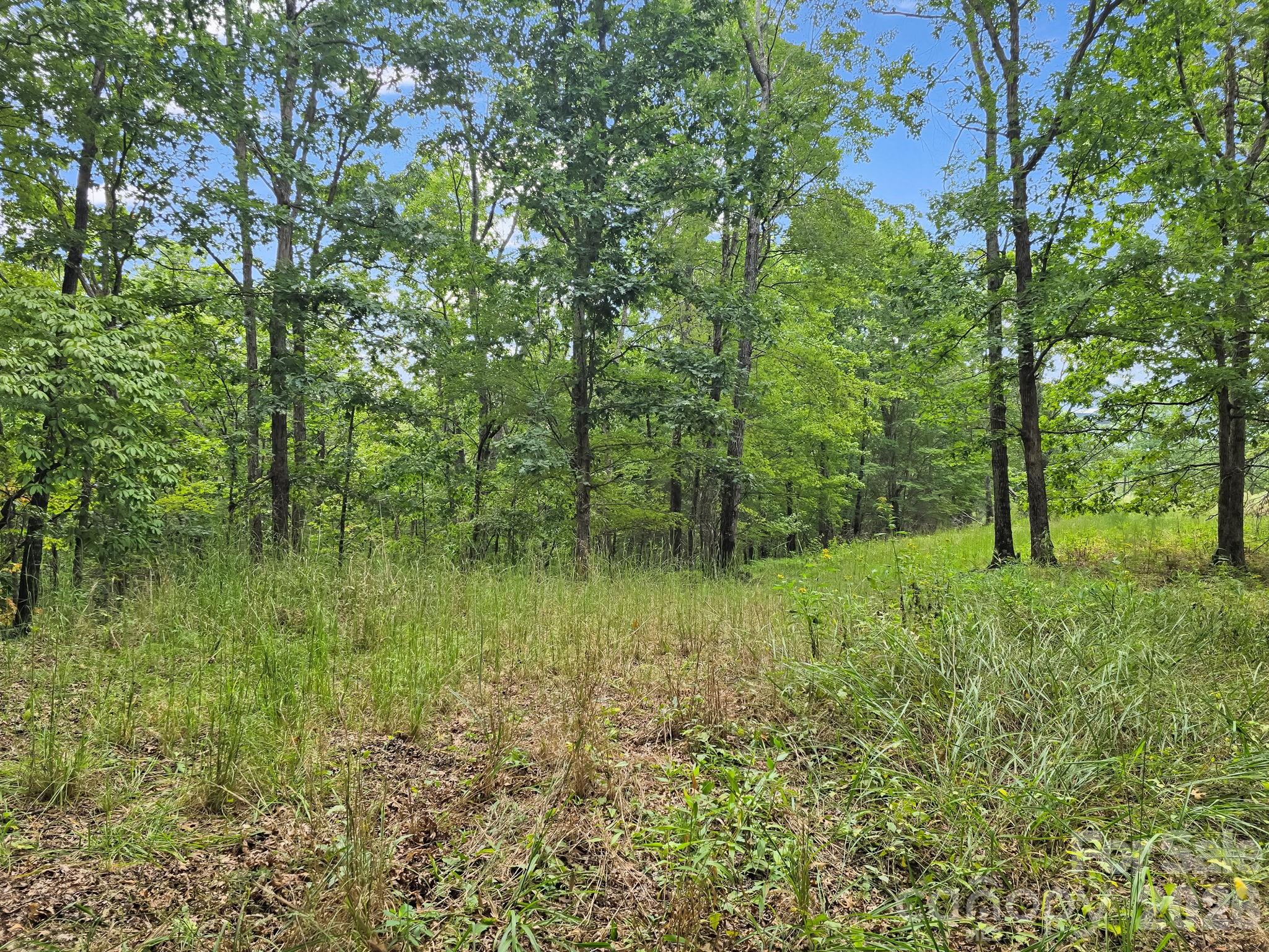Tbd North Highland Road, Unit 6 Mill Spring, NC 28756 - Photo 21 of 37 a view of backyard with green space