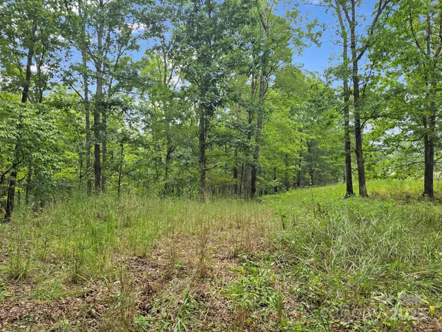 $319,000 | Tbd North Highland Road, Unit 6, Mill Spring, NC 28756