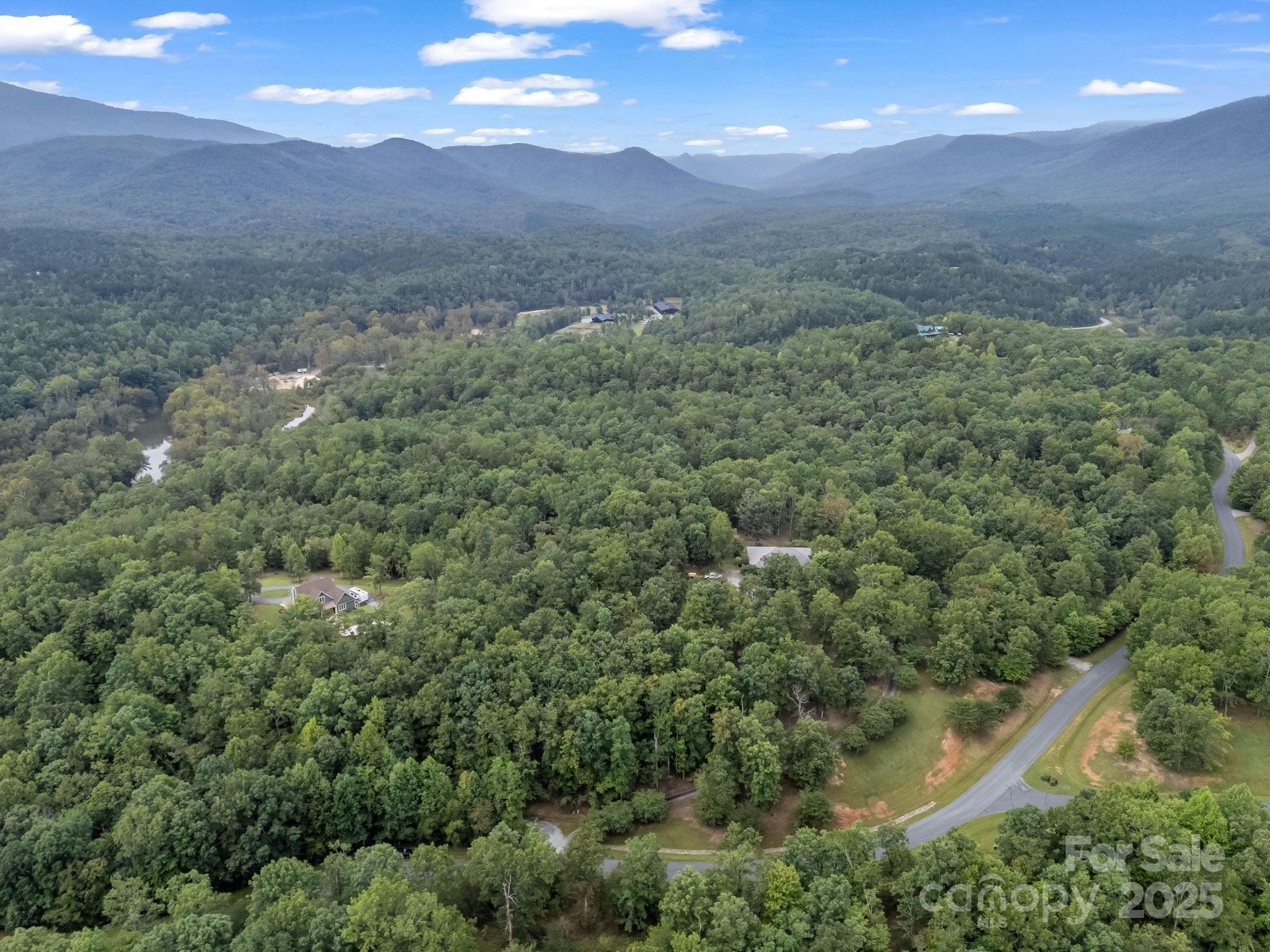 Tbd North Highland Road, Unit 6 Mill Spring, NC 28756 - Photo 26 of 37 a view of a lush green forest with lots of trees