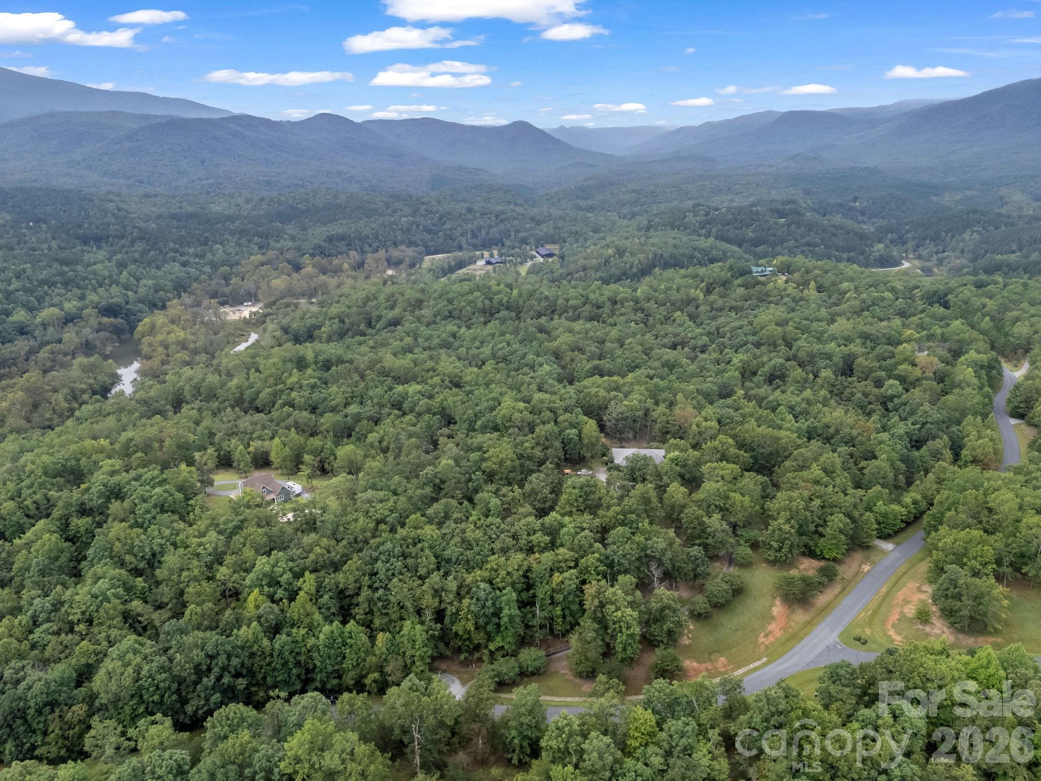 Tbd North Highland Road, Unit 6 Mill Spring, NC 28756 - Photo 26 of 37 a view of a lush green forest with lots of trees