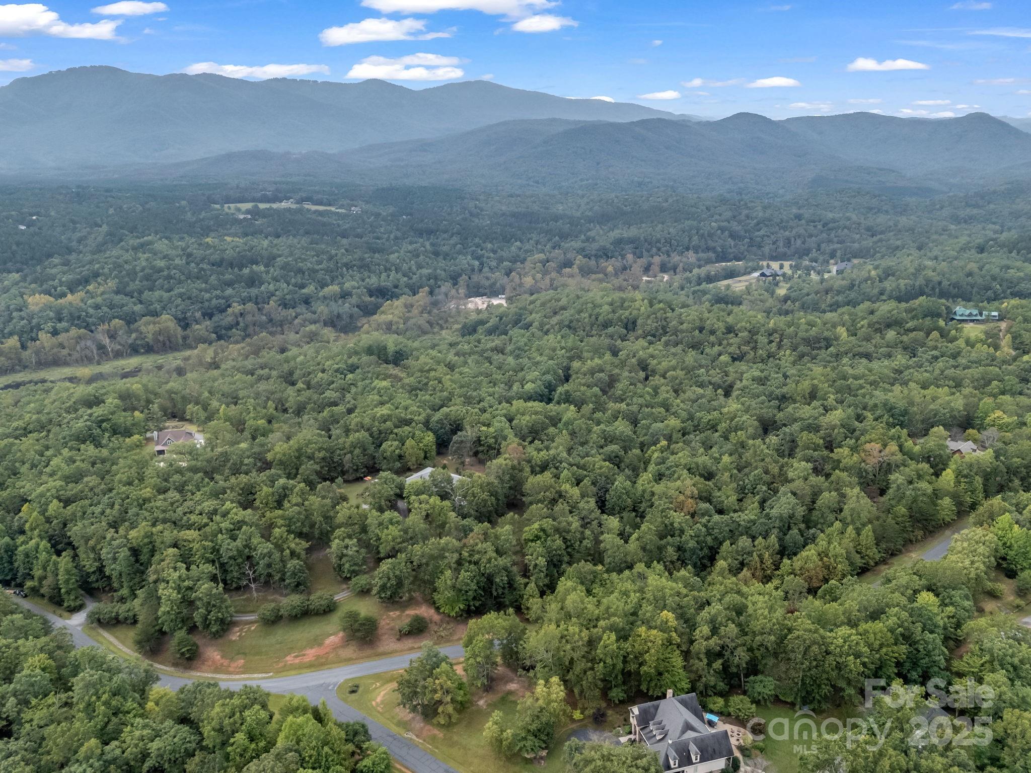 Tbd North Highland Road, Unit 6 Mill Spring, NC 28756 - Photo 27 of 37 a view of a yard