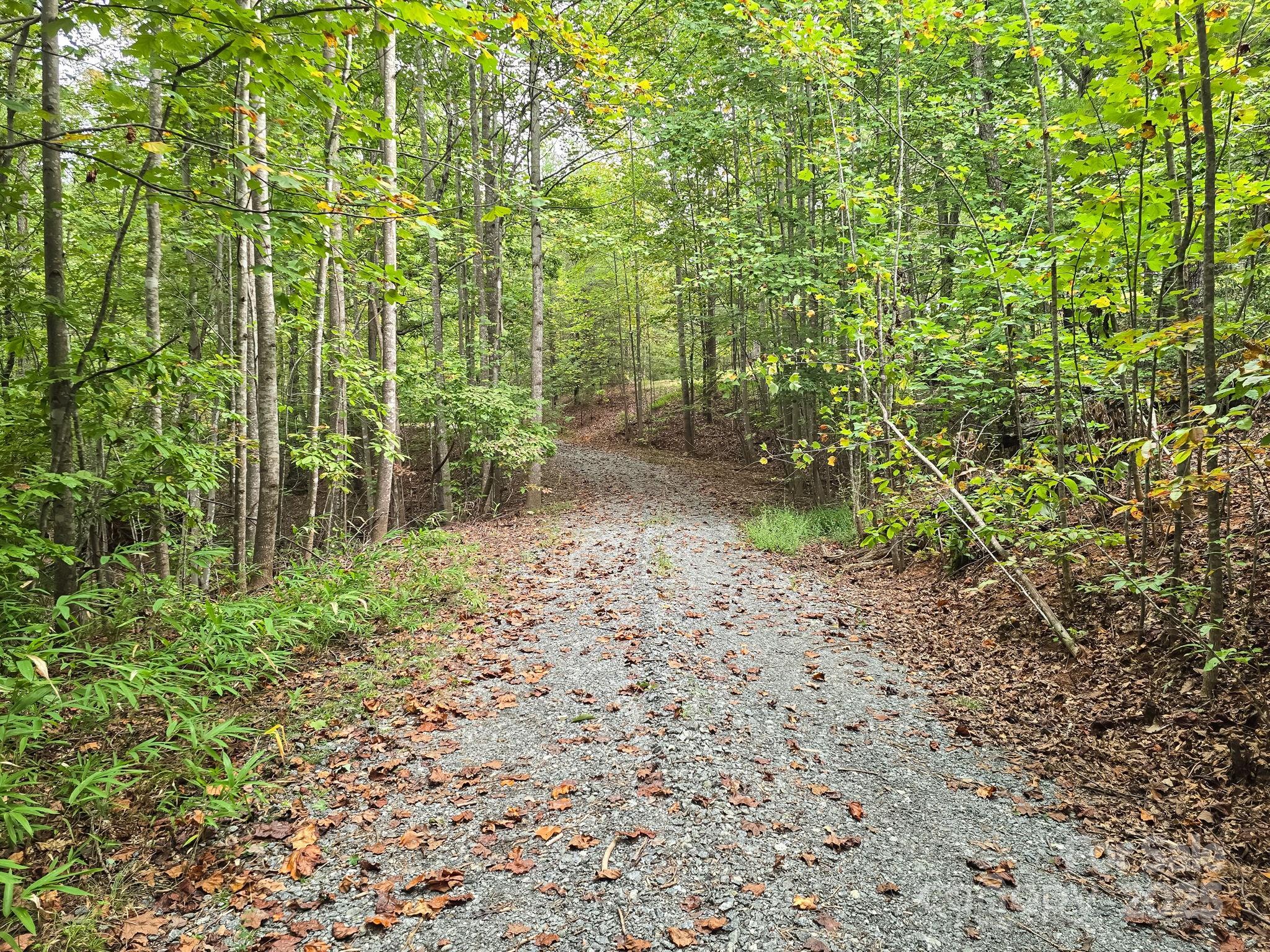 Tbd North Highland Road, Unit 6 Mill Spring, NC 28756 - Photo 28 of 37 a view of a garden with large trees