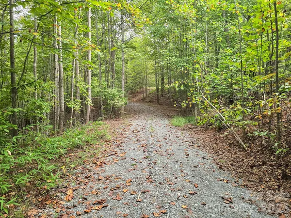 $319,000 | Tbd North Highland Road, Unit 6, Mill Spring, NC 28756