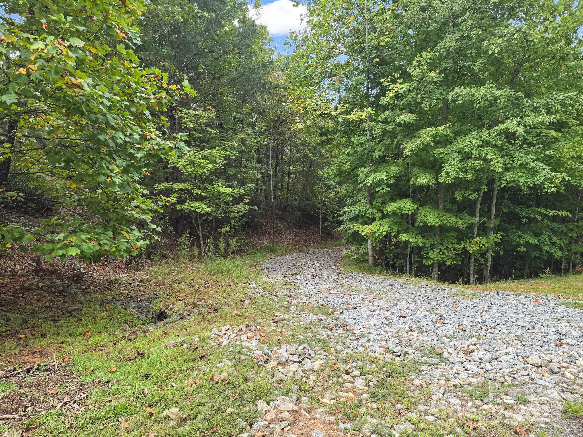 Tbd North Highland Road, Unit 6 Mill Spring, NC 28756 - Photo 29 of 37 a view of backyard with green space