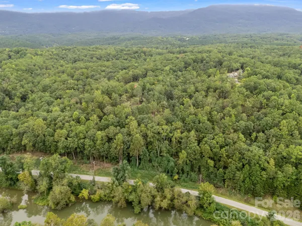 a view of a yard with trees in the background
