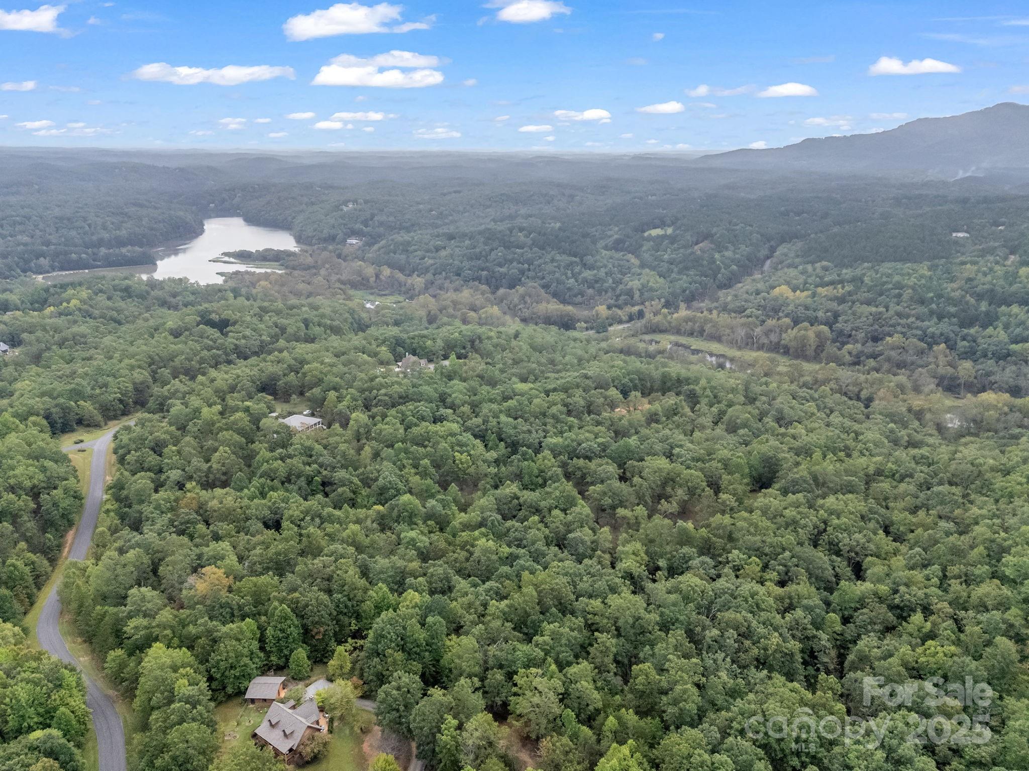 Tbd North Highland Road, Unit 6 Mill Spring, NC 28756 - Photo 32 of 37 a view of a big yard