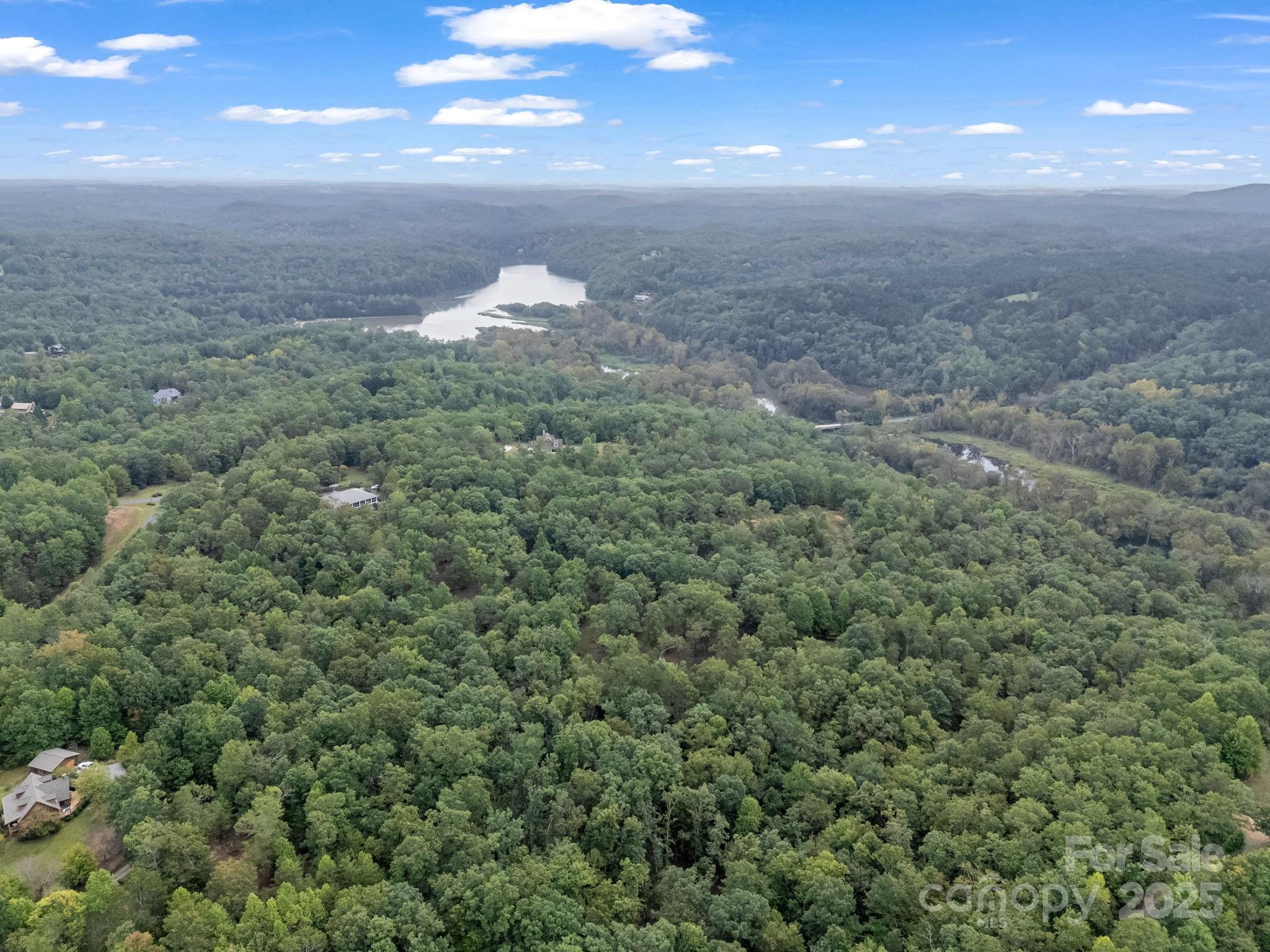 Tbd North Highland Road, Unit 6 Mill Spring, NC 28756 - Photo 33 of 37 a view of a dry yard
