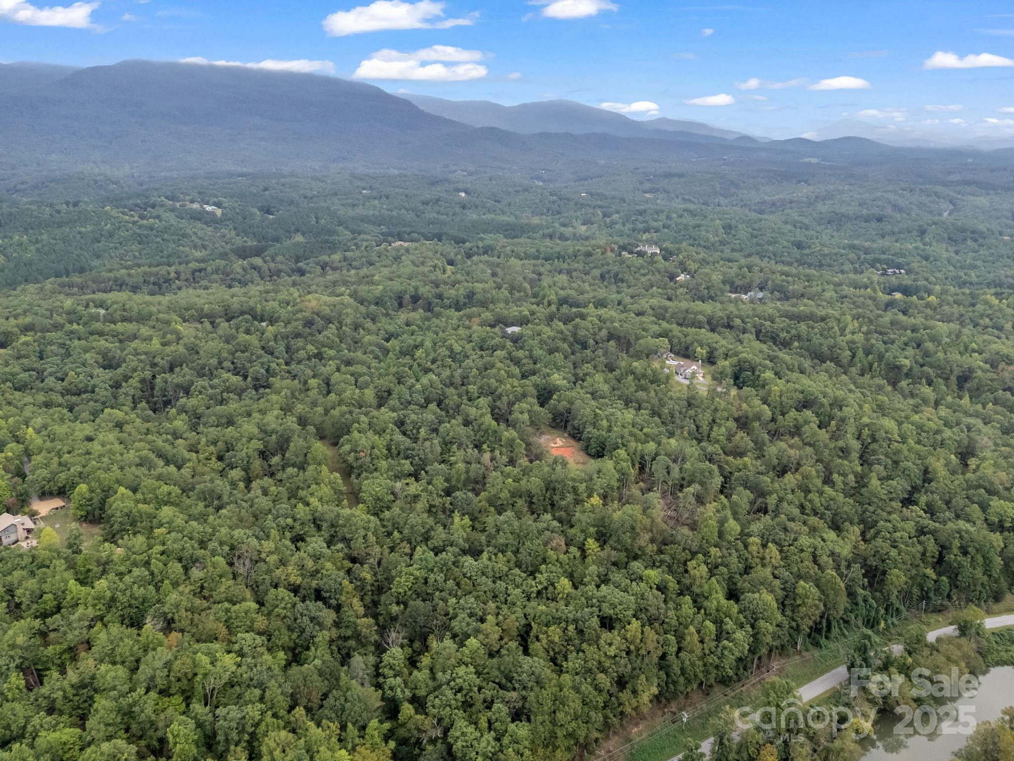 Tbd North Highland Road, Unit 6 Mill Spring, NC 28756 - Photo 34 of 37 a view of a green field with lots of bushes