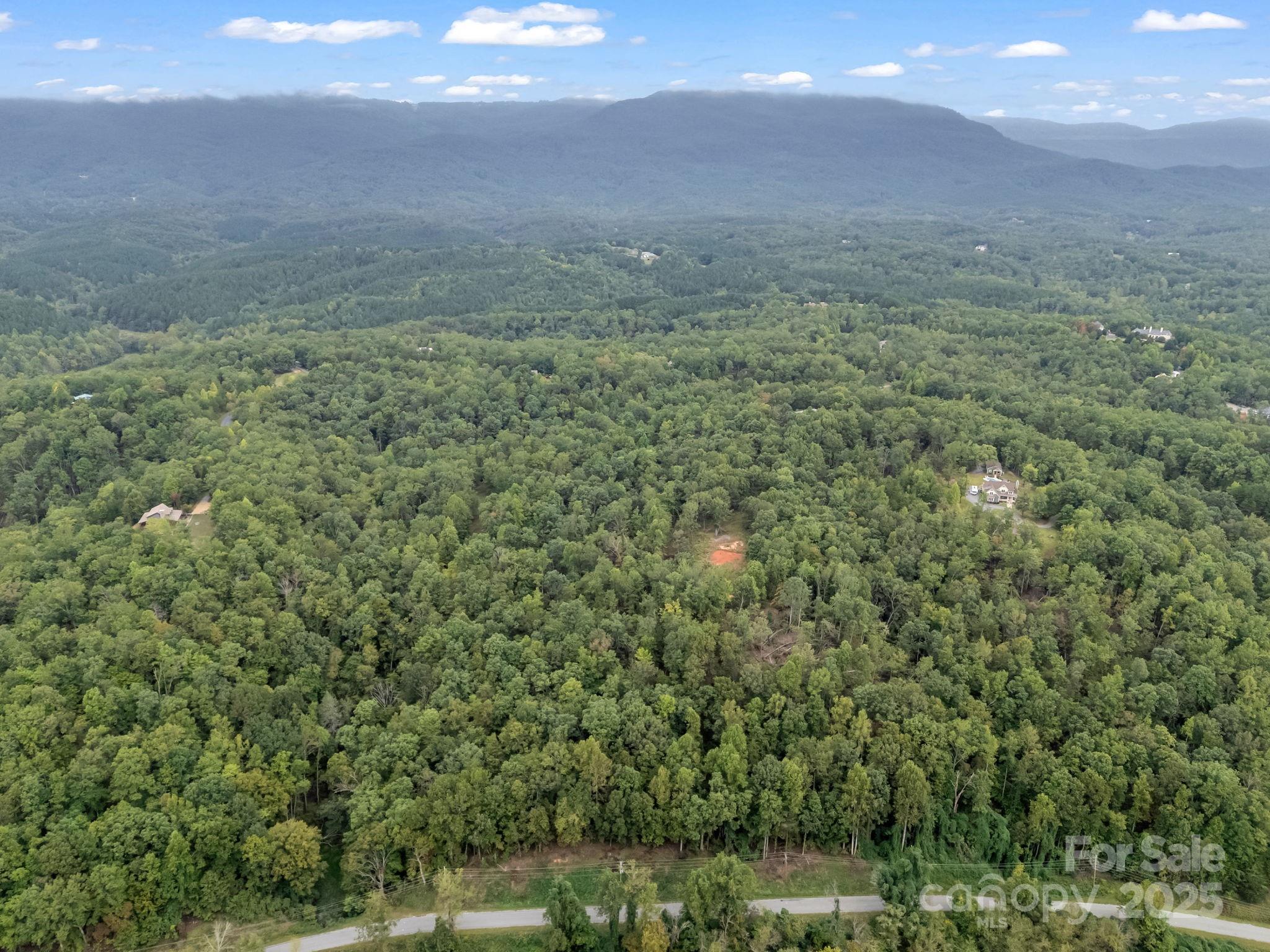 Tbd North Highland Road, Unit 6 Mill Spring, NC 28756 - Photo 35 of 37 a view of a yard