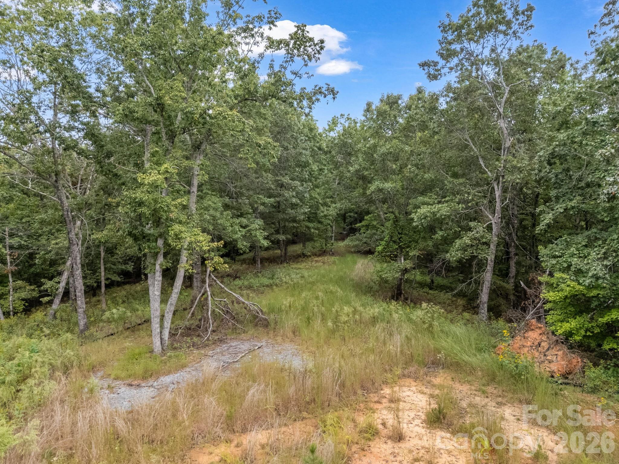 Tbd North Highland Road, Unit 6 Mill Spring, NC 28756 - Photo 5 of 37 a view of a trees