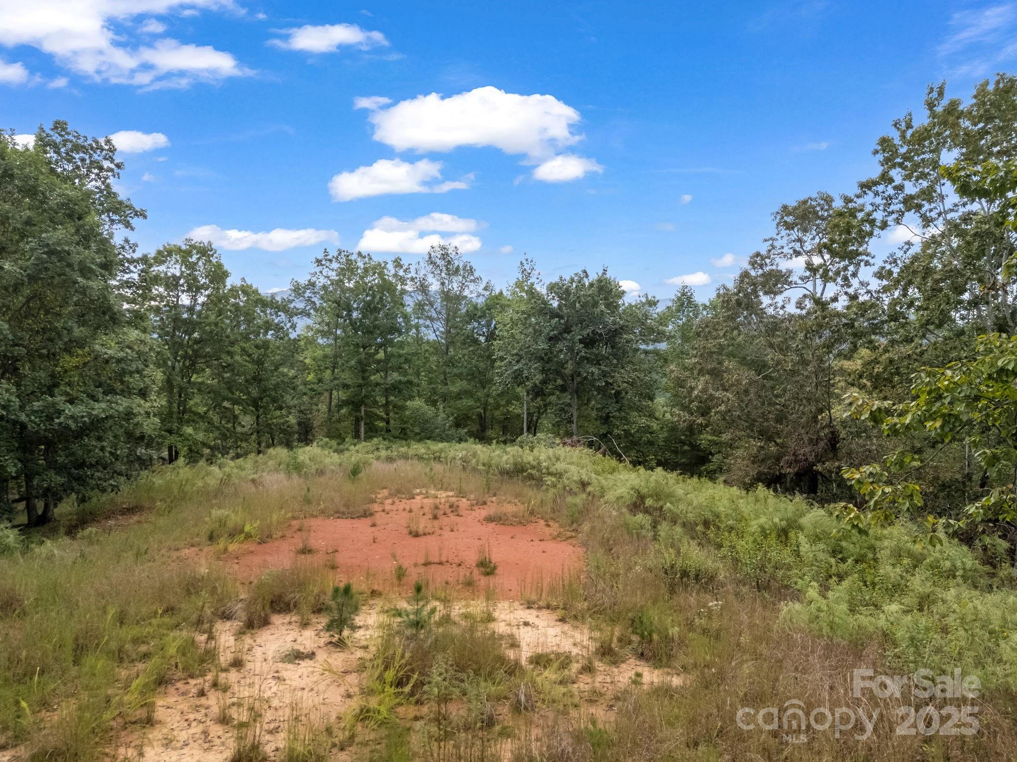 Tbd North Highland Road, Unit 6 Mill Spring, NC 28756 - Photo 6 of 37 a view of a yard with trees in the background