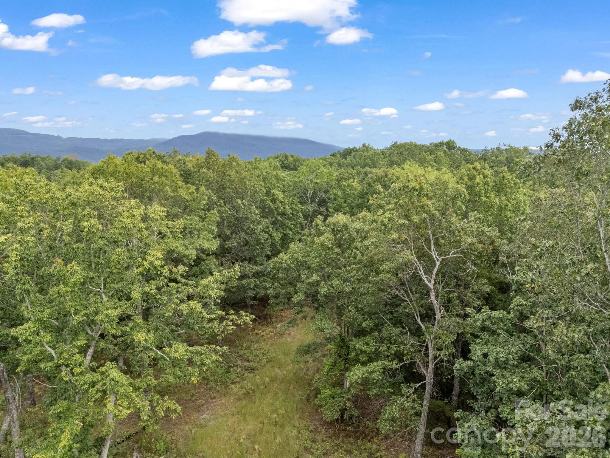 Tbd North Highland Road, Unit 6 Mill Spring, NC 28756 - Photo 7 of 37 a view of a big yard with lots of green space