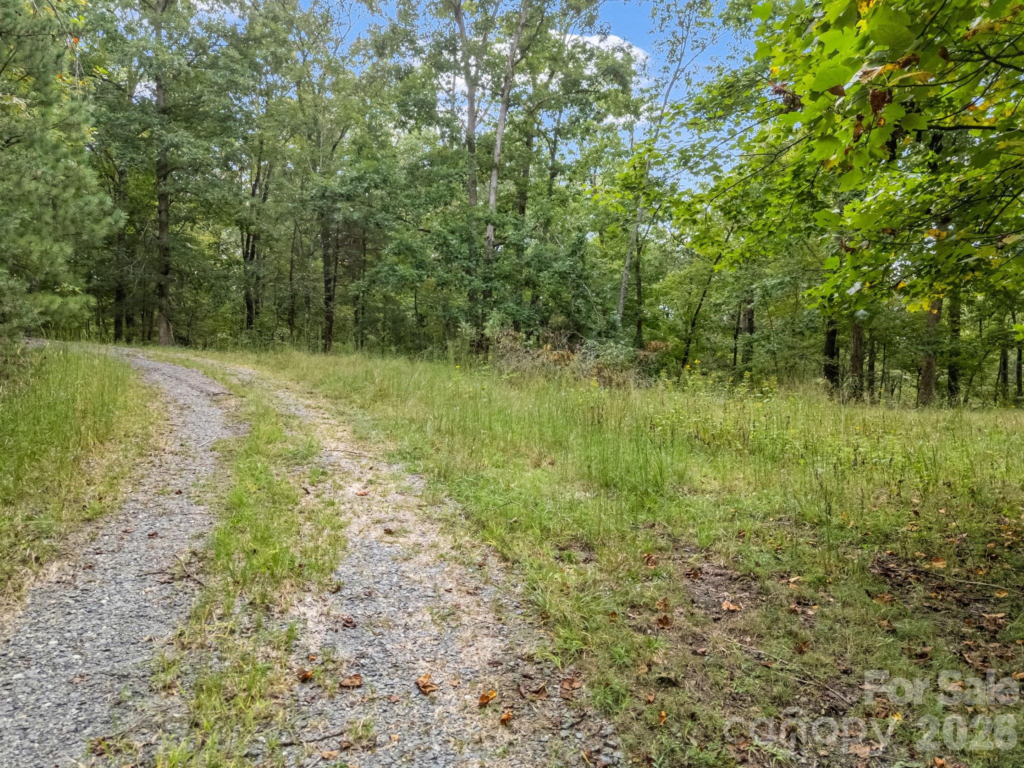 Tbd North Highland Road, Unit 6 Mill Spring, NC 28756 - Photo 8 of 37 a view of a lush green space