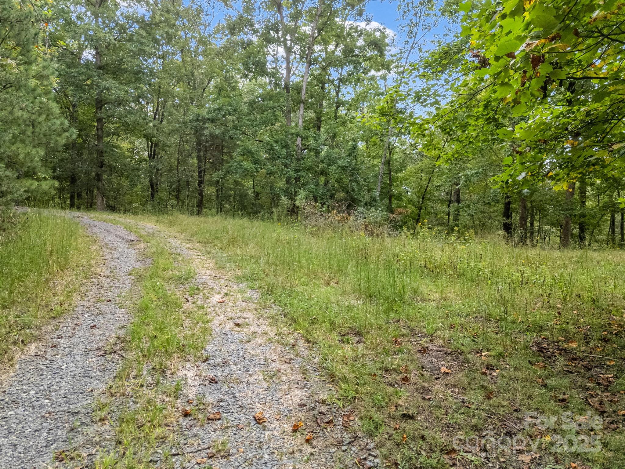 Tbd North Highland Road, Unit 6 Mill Spring, NC 28756 - Photo 9 of 37 a view of a lush green space
