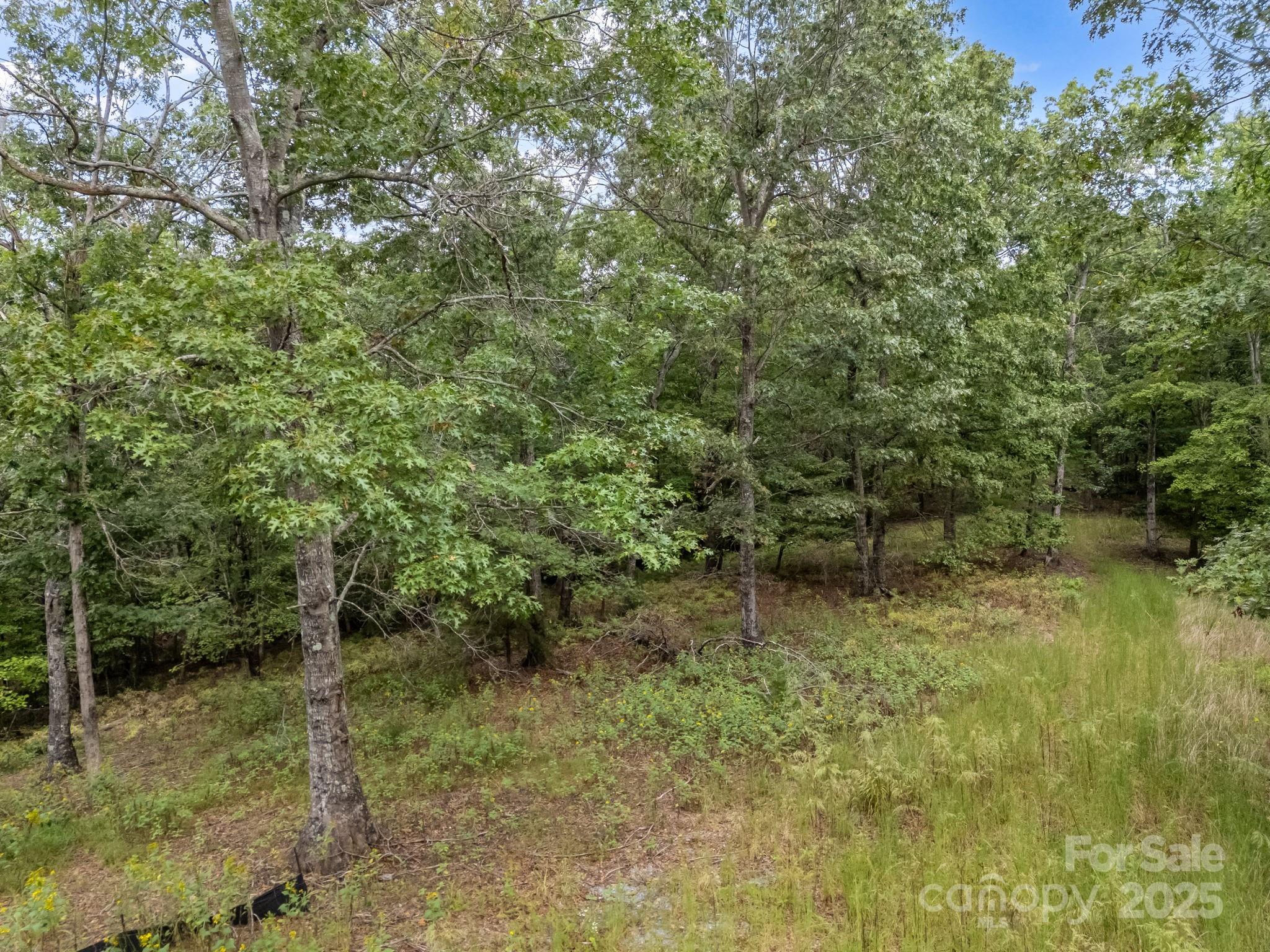 Tbd North Highland Road, Unit 6 Mill Spring, NC 28756 - Photo 10 of 37 a backyard of a house with lots of green space