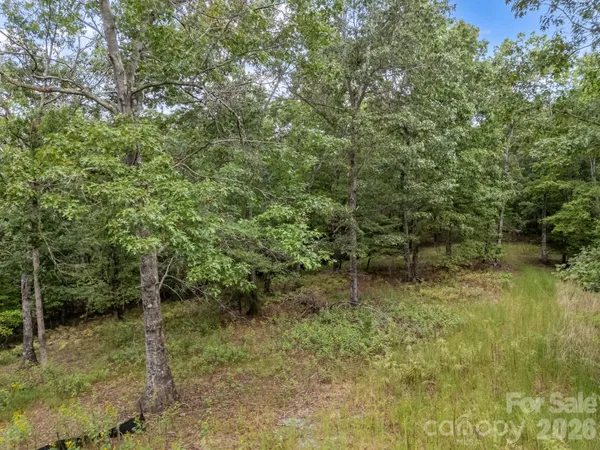 a view of outdoor space and green space