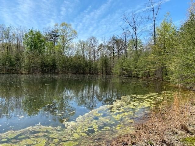 37 Azalea Ridge Road Tracy City, TN 37387 - Photo 2 of 10 Gallery Image 2