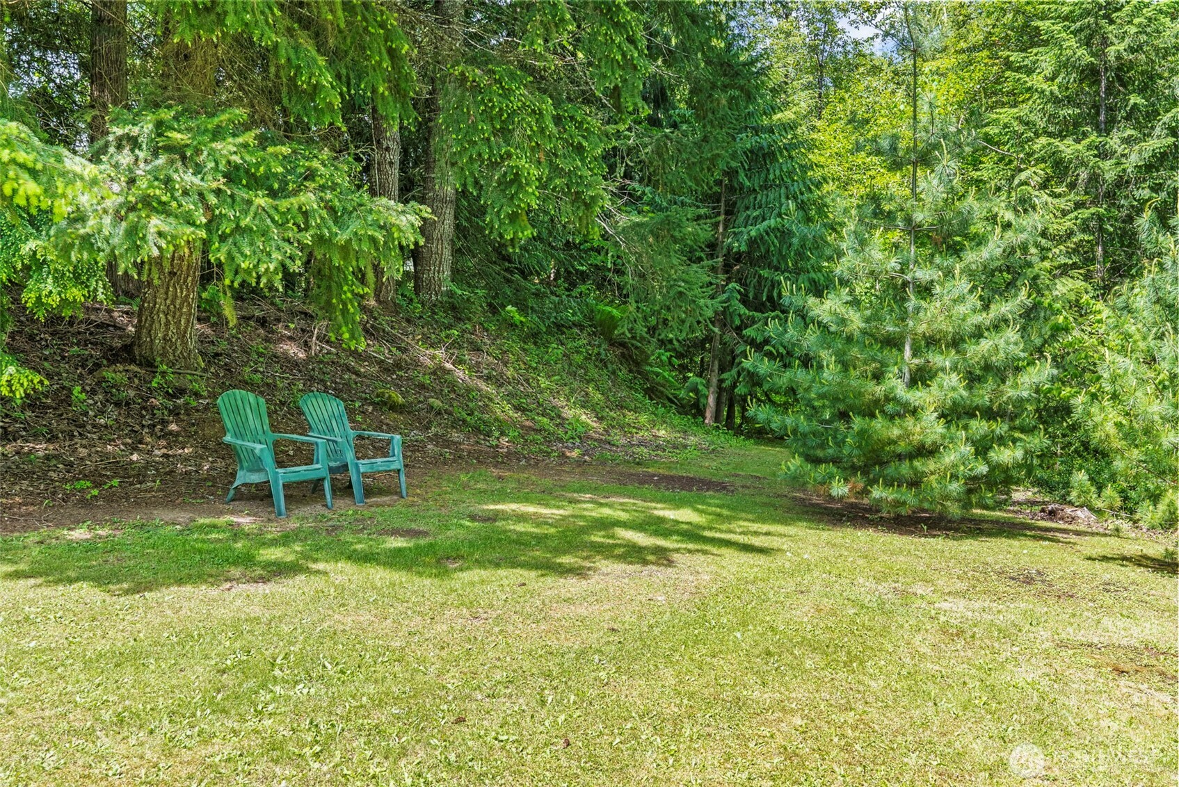 192-43 East Kiona Road Randle, WA 98377 - Photo 30 of 34 Gallery Image 30
