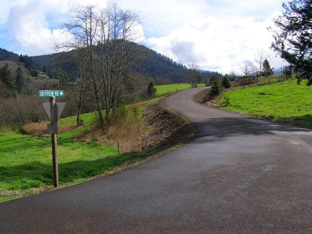 Lot 25 Skyview Road Tillamook, OR 97141 - Photo 21 of 21 P3180425.JPG