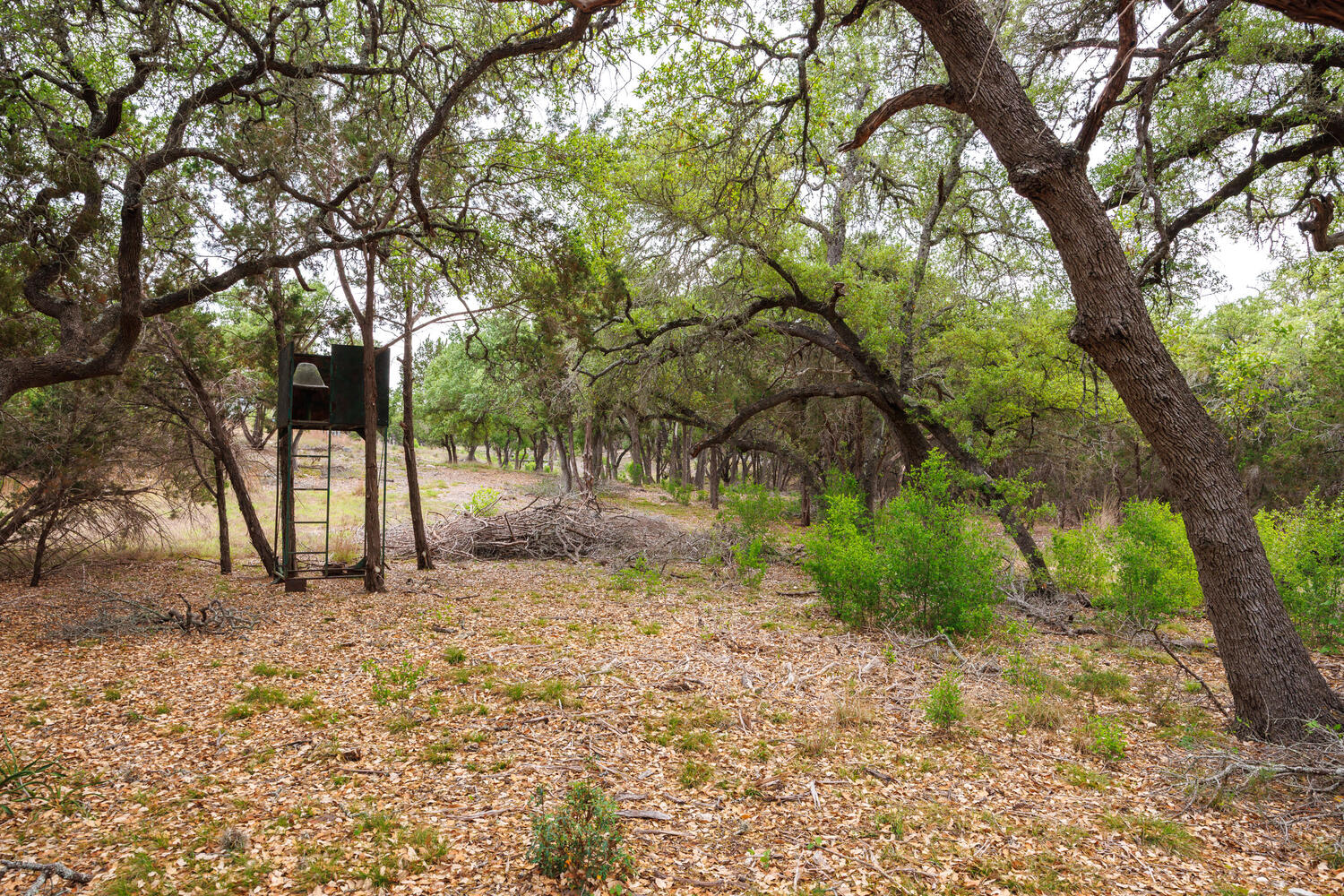 3487 Rust Spring Branch, TX 78070 - Photo 26 of 40