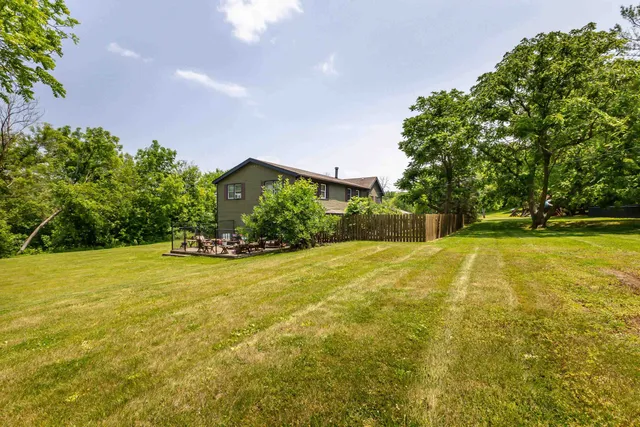 a view of a park with plants and trees