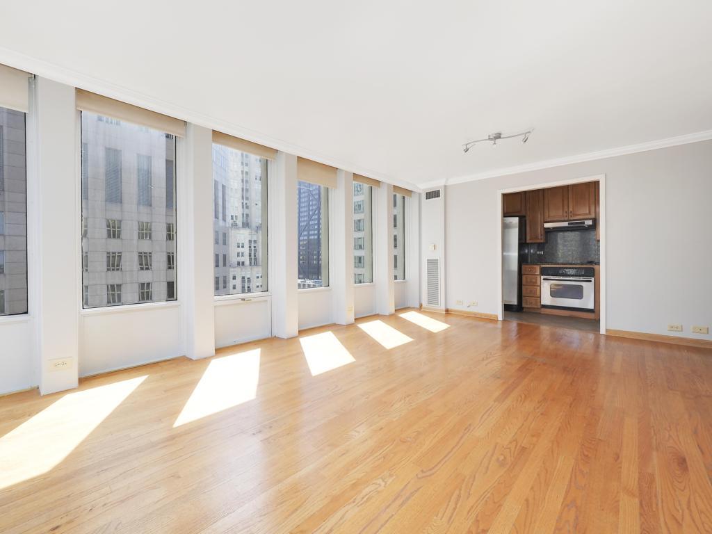 100 East Walton Street, Unit 27B Chicago, IL 60611 - Photo 5 of 18 a view of an empty room with a window and wooden floor