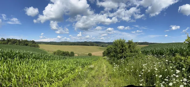 $499,900 | S870 Julson Ridge Road, Independence, WI 54747