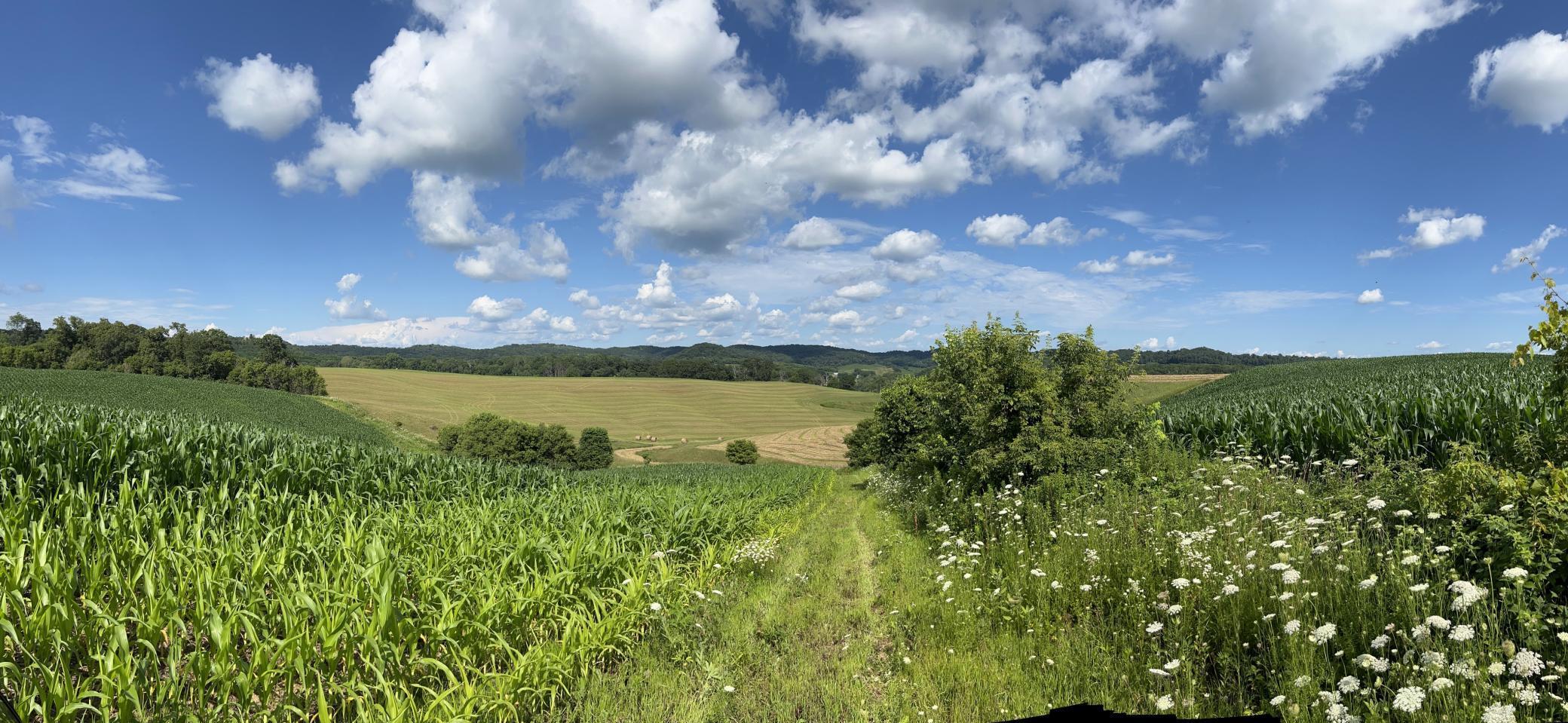 S870 Julson Ridge Road Independence, WI 54747 - Photo 19 of 44