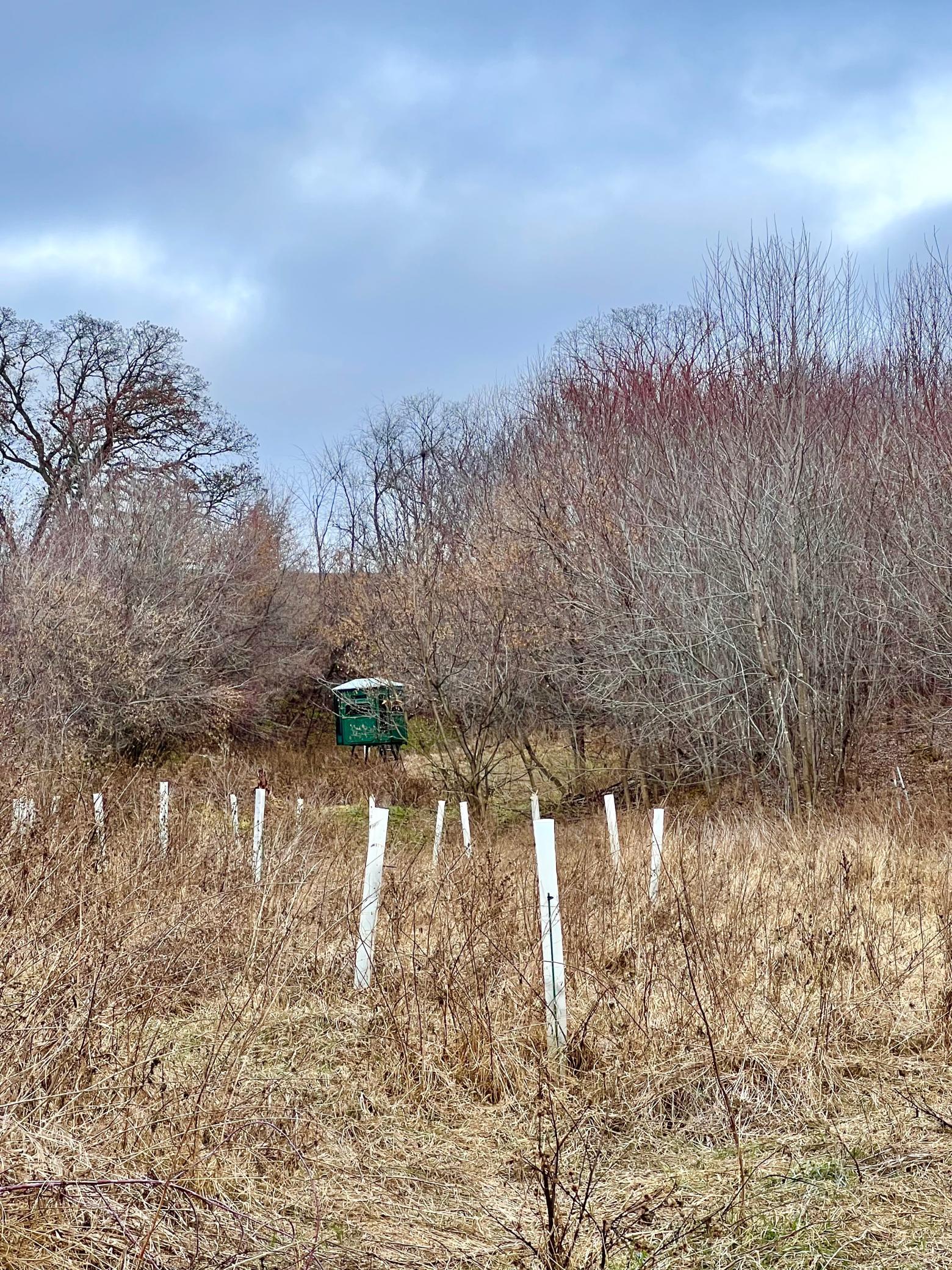 S870 Julson Ridge Road Independence, WI 54747 - Photo 20 of 44