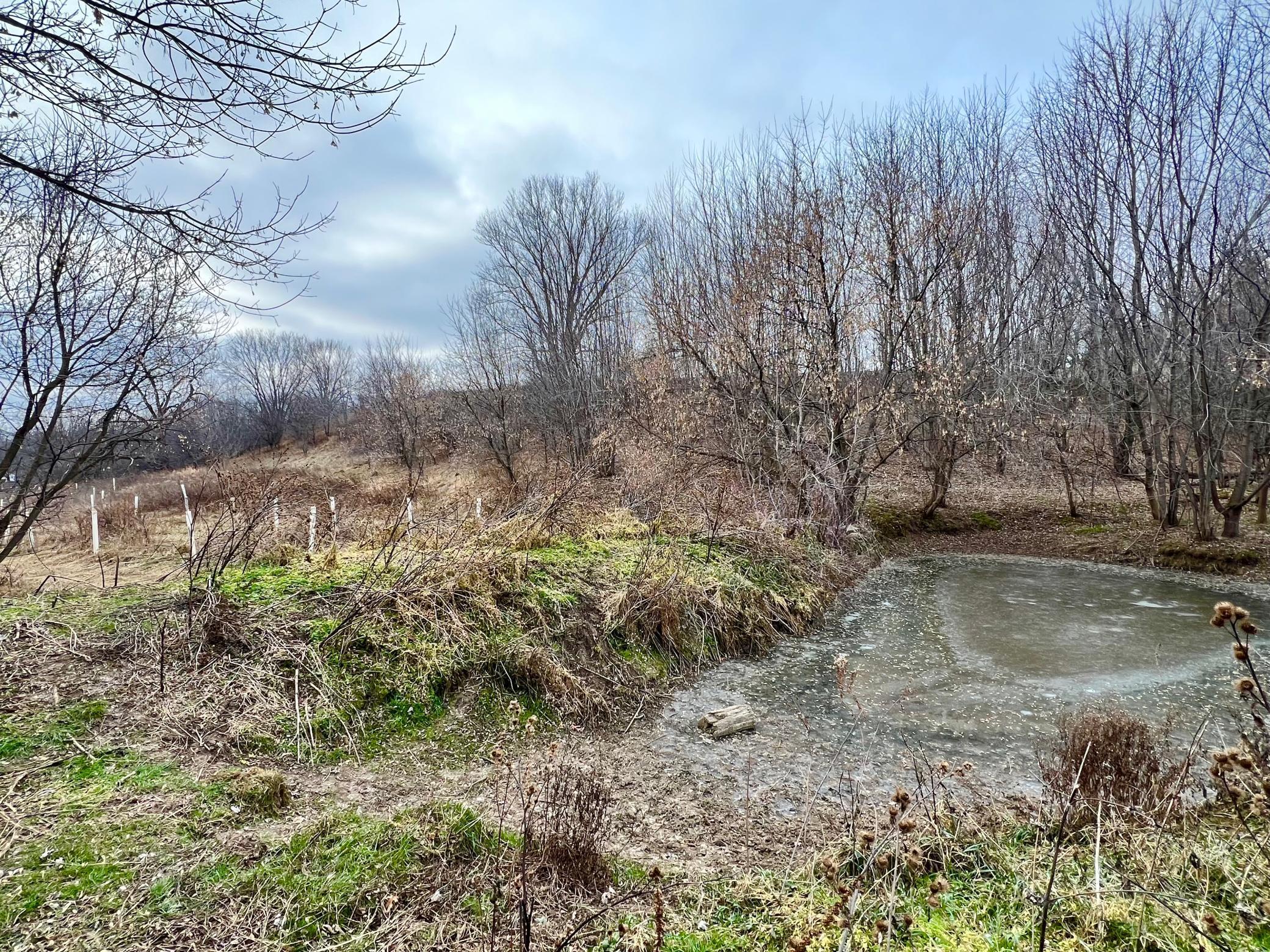 S870 Julson Ridge Road Independence, WI 54747 - Photo 21 of 44