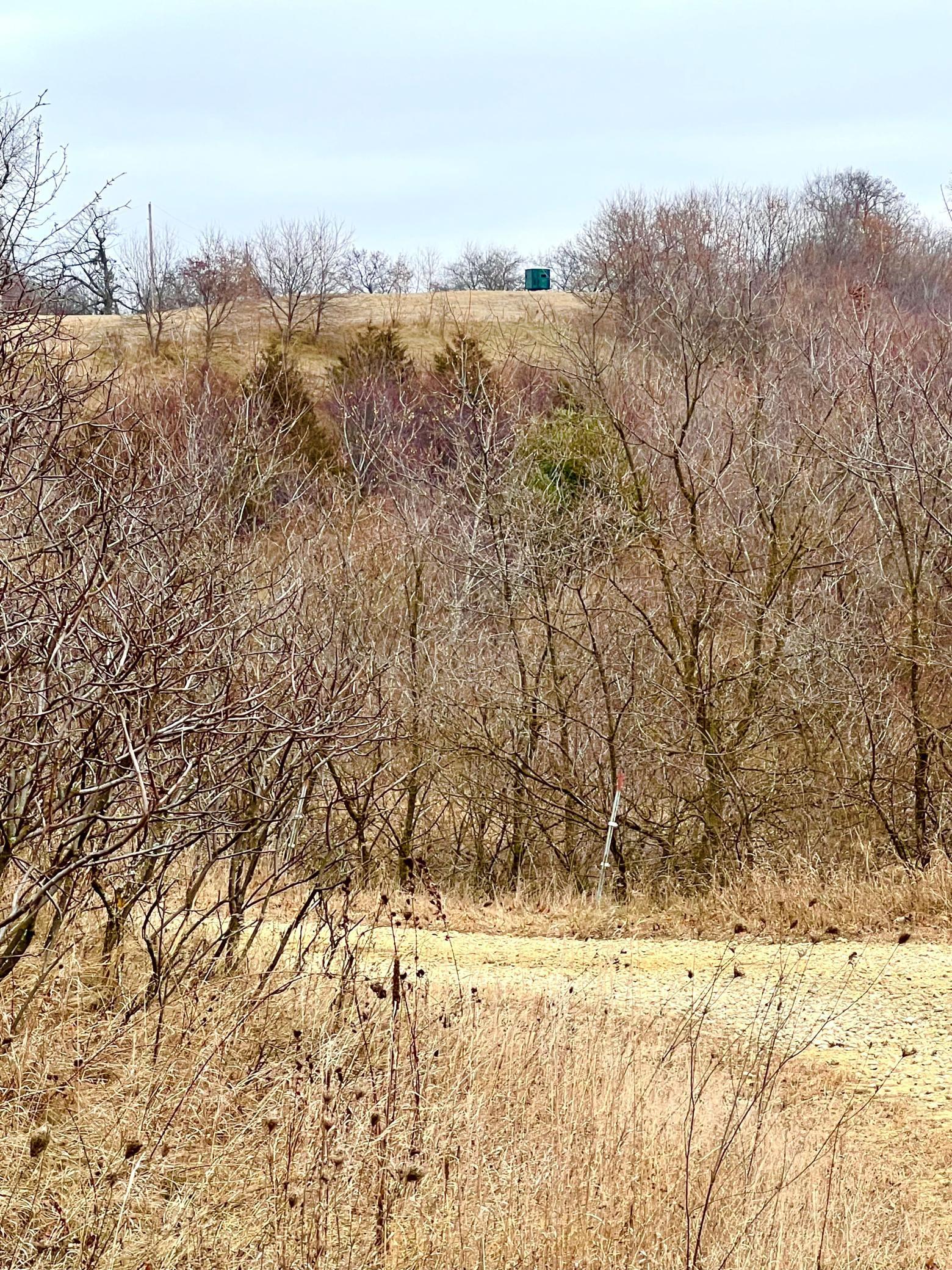 S870 Julson Ridge Road Independence, WI 54747 - Photo 26 of 44